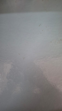 Image of تمهيدات وتنبيهات (مصور)